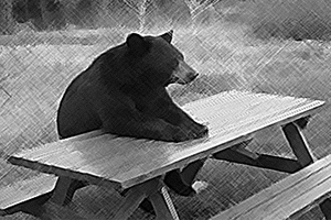 ���� ����� �����!