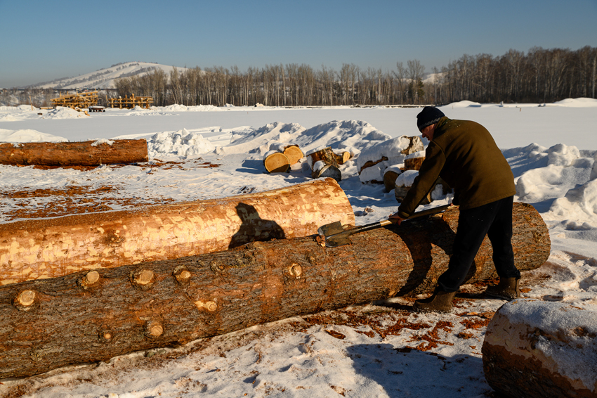 Технология Post and Beam. Подготовка брёвен.